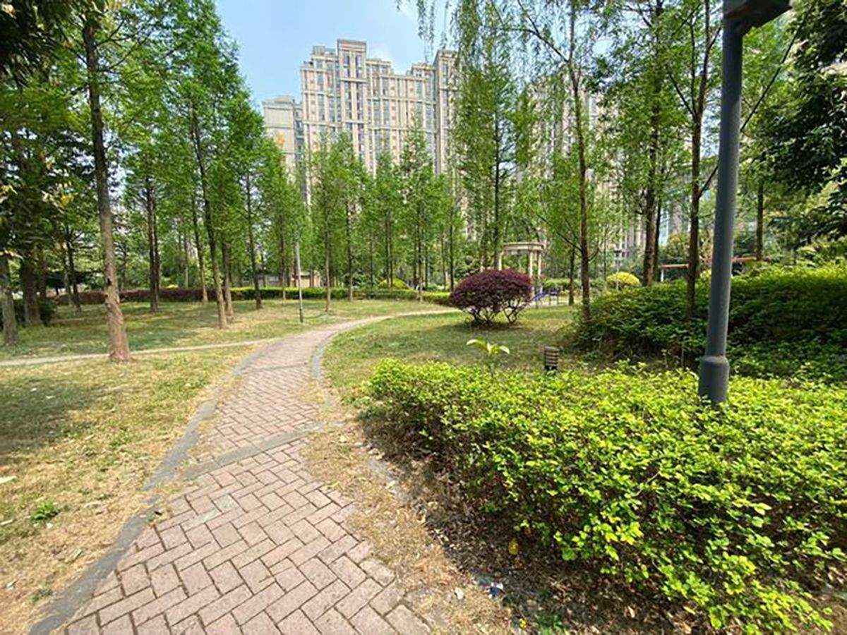 成都椿萱茂·珉湾长者社区:专业营养师与定制膳食服务解析