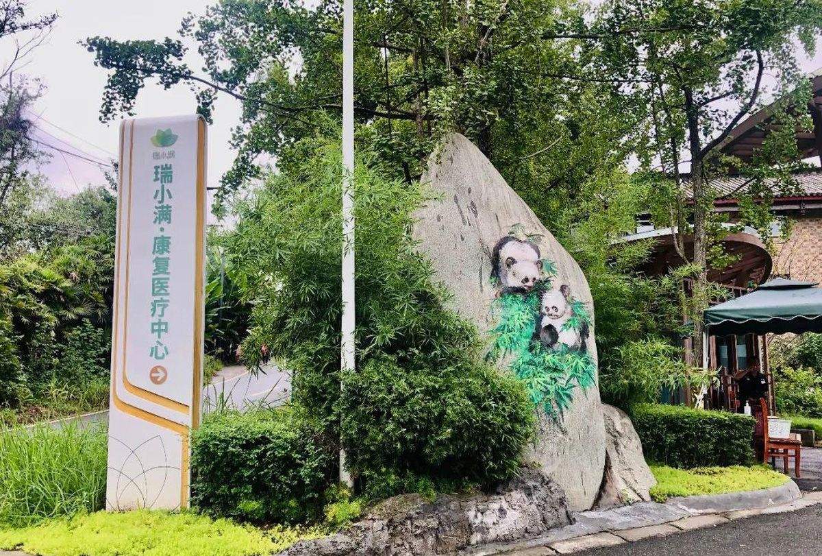 成都瑞小满杏花颐园24小时值守与健康监测养老服务参考指南