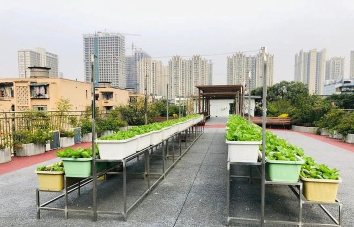 成都成华区宏明怡倍康养老中心实景图3